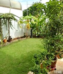 Fengli Gardens (D19), Terrace #616420431